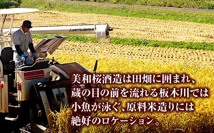 三次の酒米でつくった純米大吟醸 三次市/美和桜酒造［APBF001］