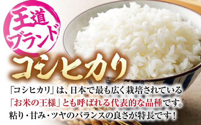 【令和7年産新米】 食べ比べ こしひかり5kg ＆ あきろまん5kg 食べ比べセット 10kg 令和7年産 白米 お米 ご飯 三次市 / 福田農場 [APBM013]