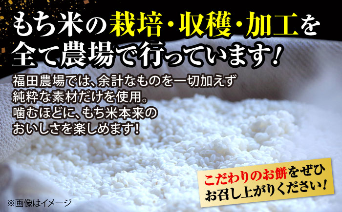 【先行予約】 お餅 ＜12月25日～年内順次発送＞ 杵つき餅 真空パック ひら餅 10個×3 お餅 杵つき 餅 おせち モチ 雑煮 広島 三次市 / 福田農場 [APBM014]
