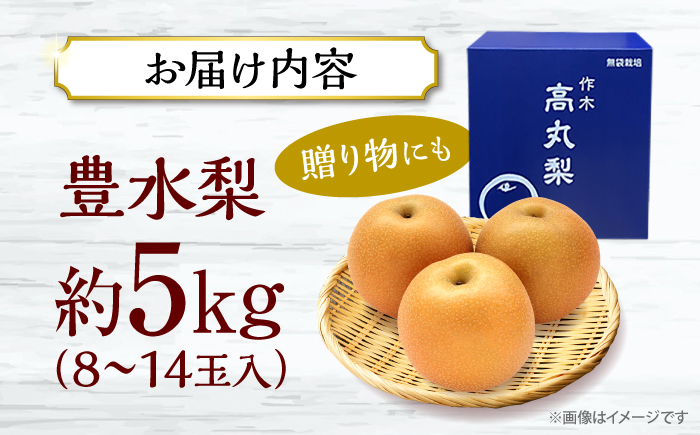 【先行予約】【9月中旬から9月末に順次発送】高丸の梨 「豊水」 5kg（8から14玉入） 豊水 梨 なし フルーツ 果物 ナシ 三次市/高丸農園 [APBU002]
