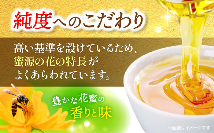 三次はちみつ園 蜂家の5種類6本セット（あかしあ・みかん・とち・しな・野山） ハニー お取り寄せ グルメ 産地直送 ふるさと納税 ギフト プレゼント スーパーフード パンケーキ ヨーグルト 三次市/Beemonte [APCB002]