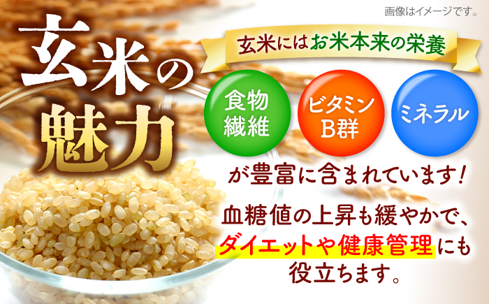 【先行予約】【9月中旬から順次発送】特別栽培米 コシヒカリ 真空パック 玄米 10kg （ 5kg × 2袋 ） お米 こしひかり ご飯 コシヒカリ おこめ 三次市/小川モータース [APCH004]