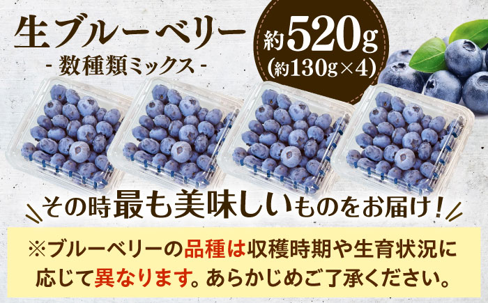 【冷蔵】【6月中旬から7月下旬に順次発送】ブルーベリー 520g（130g×4パック） 生ブルーベリー ミックスベリー ブルーベリー 三次市/小川モータース [APCH010]