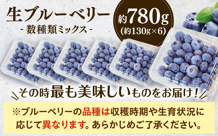 【冷蔵】【6月中旬から7月下旬に順次発送】ブルーベリー 780g（130g×6パック） 生ブルーベリー ミックスベリー ブルーベリー 三次市/小川モータース [APCH011]