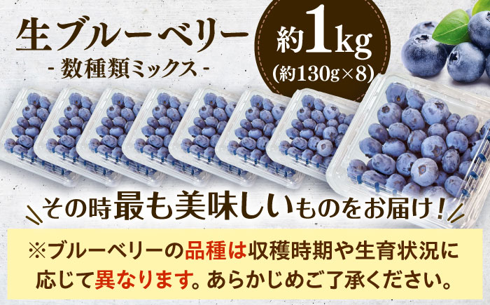 【冷蔵】【6月中旬から7月下旬に順次発送】ブルーベリー 約1kg（130g×8パック） 生ブルーベリー ミックスベリー ブルーベリー 三次市/小川モータース [APCH012]