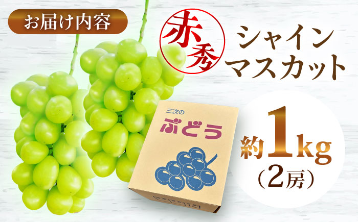 【2026年先行予約】＜9月中旬から順次発送＞ぶどう シャインマスカット 1kg（2房 赤秀） 露地栽培 シャインマスカット マスカット 果物 くだもの フルーツ ぶどう 葡萄 三次市/西田ぶどう園 [APCM001]