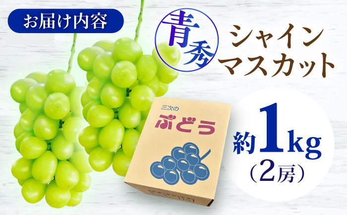 【2026年先行予約】＜9月中旬から順次発送＞ぶどう シャインマスカット 1kg（2房 青秀） 露地栽培 シャインマスカット マスカット 果物 フルーツ くだもの ぶどう 葡萄 三次市/西田ぶどう園 [APCM002]