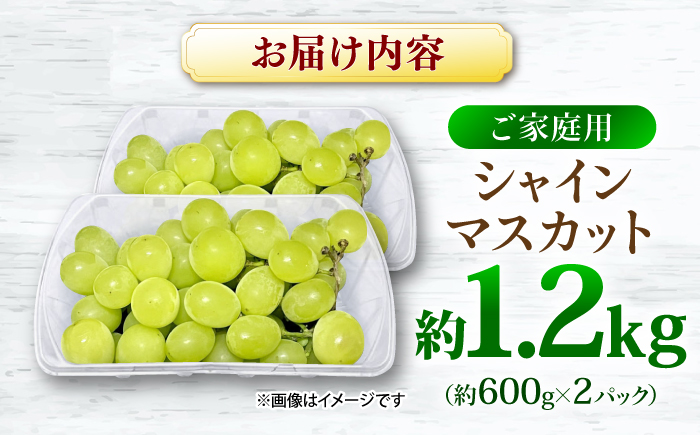 【2026年先行予約】＜9月中旬から順次発送＞シャインマスカット【訳あり】シャインマスカット 約1.2kg（約600g×2パック）露地栽培 シャインマスカット マスカット 果物 フルーツ 葡萄 ぶどう 三次市/西田ぶどう園 [APCM005]
