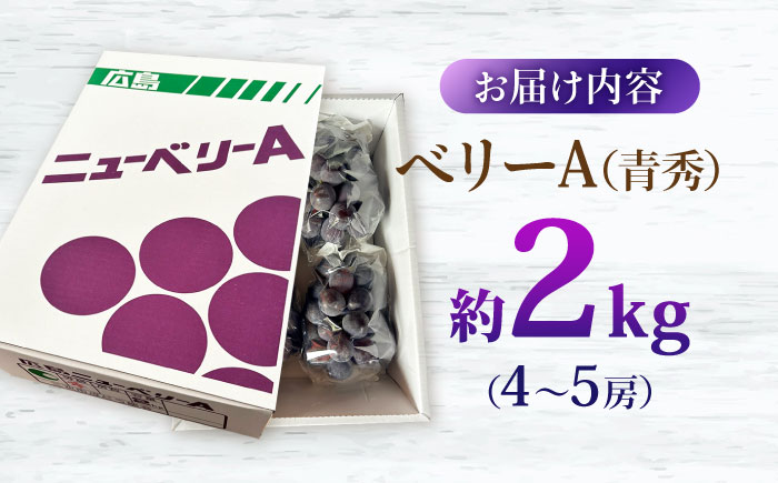 【2026年先行予約】＜9月上旬から順次発送＞ぶどう ベリーA 2kg（4から5房） 青秀 露地栽培 マスカット ブドウ 果物 くだもの フルーツ ぶどう 葡萄 三次市/西田ぶどう園 [APCM012]