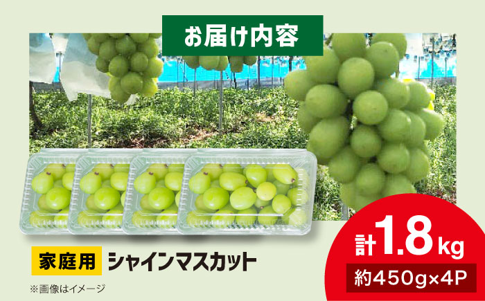 【2026年先行予約】＜9月下旬から順次発送＞家庭用 シャインマスカット 計1.8kg（約450g×4パック） 粒入り マスカット ぶどう ブドウ 葡萄 シャインマスカット 三次市 / 辰巳農園 [APCR001]