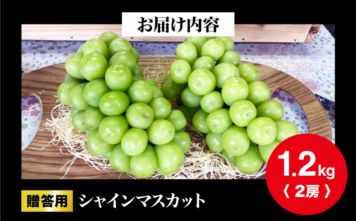 【2026年先行予約】＜10月上旬から順次発送＞贈答用 シャインマスカット 約1.2kg（2房） ぶどう ブドウ 葡萄 シャイン マスカット 三次市 / 辰巳農園 [APCR003]