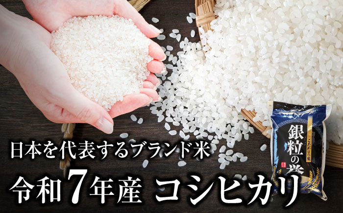 【全3回定期便】こしひかり 10kg  【令和7年産米】 米 白米 お米 ご飯 コシヒカリ 三次市/アグリ君田 [APDC007]
