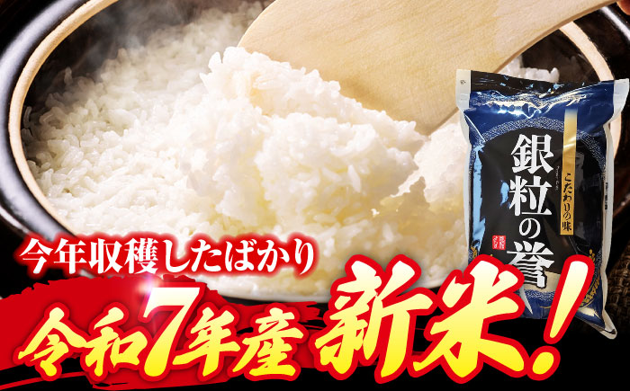 【全6回定期便】 【令和7年産米】 米 こしひかり 10kg 白米 お米 ご飯 コシヒカリ 三次市/アグリ君田 [APDC008]