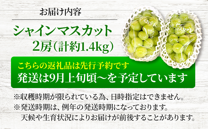 【2026年先行予約】＜9月上旬頃から順次発送＞シャインマスカット 2房（約1.4kg） 種なし フルーツギフト ギフト 高級 果物 三次市/黒瀬ぶどう園 [APAB002]