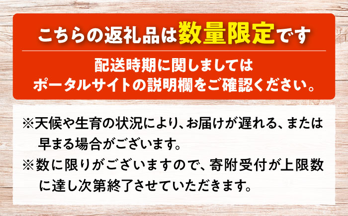 【2026年先行予約】 BKシードレス （約1kg／2房） ＜8月下旬頃から順次発送＞ 三次市 / 黒瀬ぶどう園 [APAB008]
