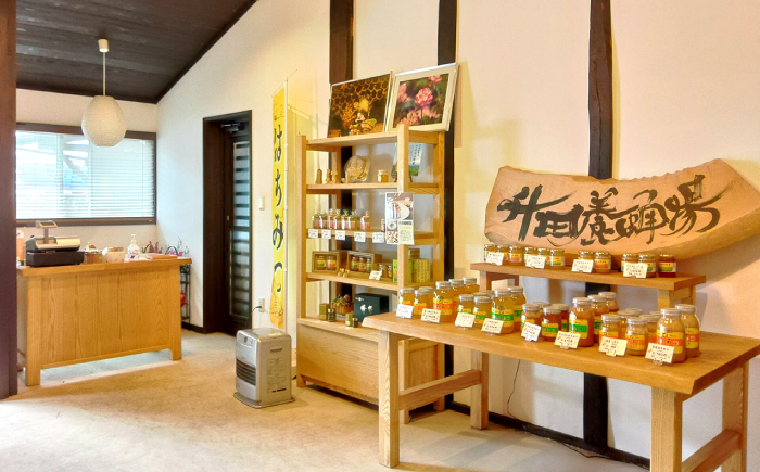 升田養蜂場のはちみつ 春一番蜂蜜 600g×1本 国産 非加熱 香料無添加 ハニー お取り寄せ グルメ 産地直送 ふるさと納税 ギフト 贈答 プレゼント 広島県産 スーパーフード パンケーキ ヨーグルト 三次市/升田養蜂場 [APAE002]