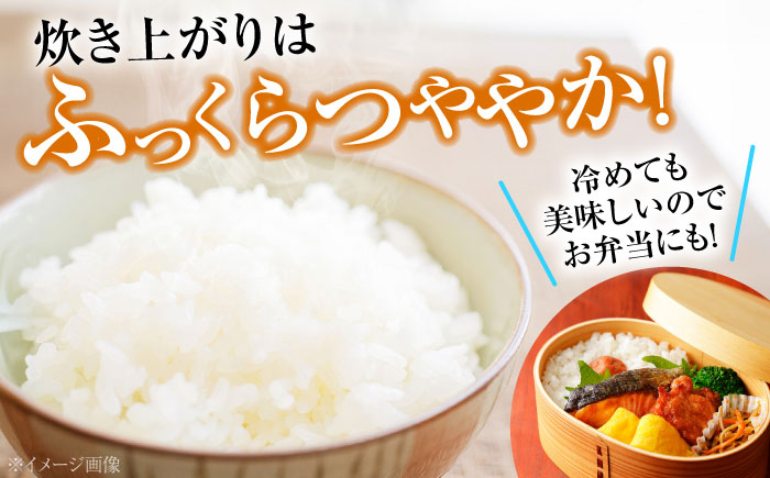 【令和7年産新米】すぐ届く！ 泉水の米 こしひかり 5kg 白米 お米 ご飯 コシヒカリ 三次市 / 泉水ファームふくしま [APAJ006]