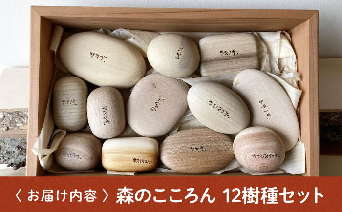 森のこころん12樹種セット  知育 おもちゃ 玩具 木製  三次市/ 一場木工所 [APAL015]