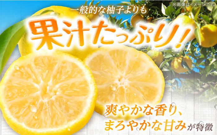 【先行予約】【11月中旬から12月中旬に順次発送】 種なし柚子 2kg（30から50個）ゆず 種無し ユズ 多田錦 三次産 種なし 柚子 三次市/小さなくだもの畑 [APAQ001]