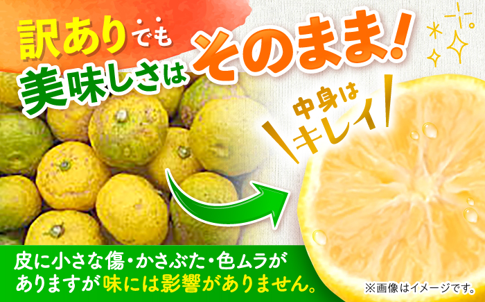 【訳あり】【先行予約】【11月中旬から12月中旬に順次発送】 種なし柚子 約3kg（約45個から65個）ゆず 種無し ユズ 訳あり 家庭用 柚子 種なし 三次市/小さなくだもの畑 [APAQ004]
