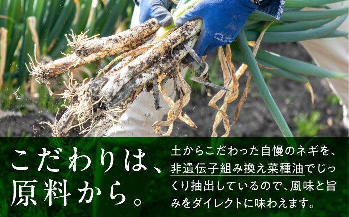 白ネギ農家が作る ネギ油 2本セット 調味料 ギフト オイル 三次市/Agri Lore Lab. [APAT001]