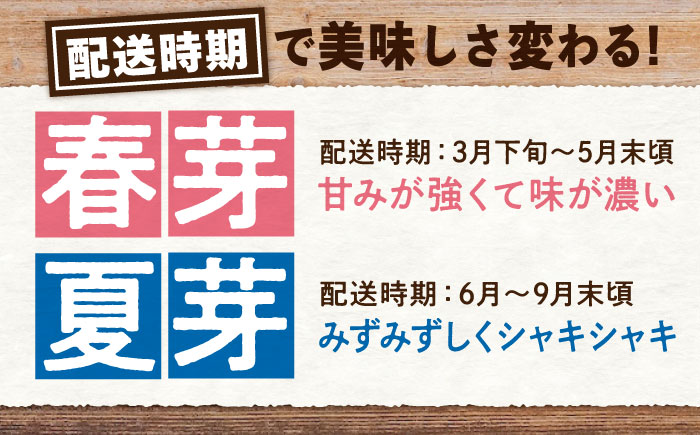 三次の恵みをおふくわけ 朝採れ 春芽アスパラガス（約1kg）とれたて アスパラ 旬 野菜 三次市/福分アスパラ [APAU001]