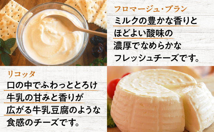 三良坂フロマージュセット ヨーグルト 牛乳 乳製品 発酵食品 脂肪 脂肪 プレーン 国産 スイーツ デザート セット 食べ比べ 手作り ドリンク アイス お取り寄せせ ギフト 贈答 プレゼント 三次市/三良坂フロマージュ [APAV004]