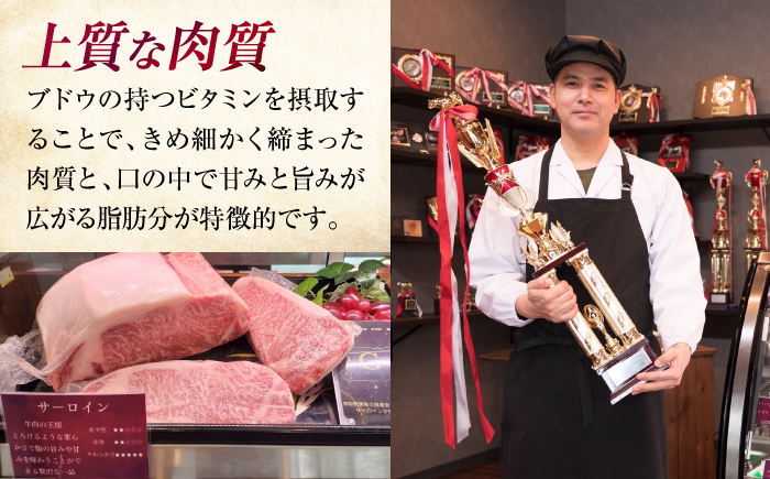 三次ワインビーフ 4種セット 800g 三次市/三次ワインビーフ みーとのば [APAX010]