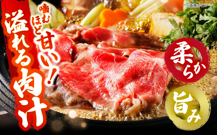 肉 三次ワインビーフ 赤身 すき焼き用 500g 黒毛和牛 お肉 牛肉 赤身 すき焼き 焼肉 しゃぶしゃぶ 国産 広島県産 三次市/三次ワインビーフ みーとのば [APAX014]