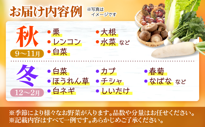 厳選！農夫のお野菜セット 旬の野菜 7品目以上 詰め合わせ 野菜セット 新鮮 食材 三次市/布野特産センター [APBA001]