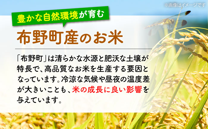 【すぐ届く】令和6年産 米 ミルキーサマー 5kg 白米 お米 ご飯 国産 広島 三次市 / 布野特産センター [APBA030]