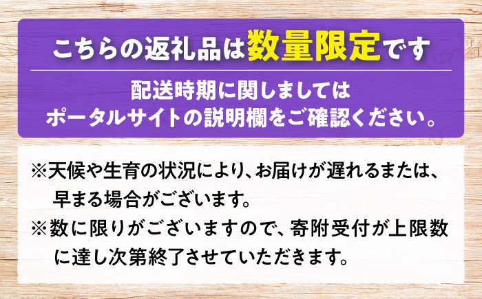 【7月中旬から8月上旬に順次発送】みらさかピオーネ（ハウス栽培）1kg 2房入 種無し ぶどう フルーツ ギフト ピオーネ 果物 三次市/みらさかピオーネ直売所 [APBE001]