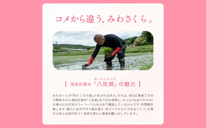 くらくらする初濃いの味　みわさくらじゅんまい 720ml×3本 日本酒 お酒 人気 地酒 酒 純米酒 広島 三次市/美和桜酒造 [APBF009]