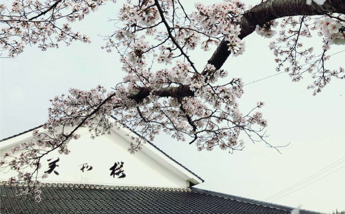 【先行予約】 ＜2026年3月上旬から順次発送＞三次で作った雄町のお酒　美和桜 特別純米酒 1800ml 日本酒 お酒 人気 地酒 酒 広島 三次市/美和桜酒造 [APBF010]