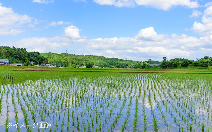 福田農場の もち米（ヒメノモチ1kg×5袋） 三次市/福田農場 [APBM003]