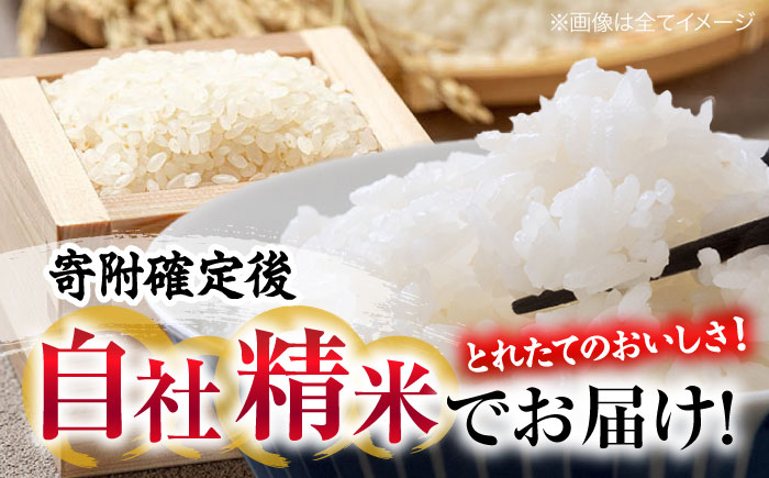 【全2回定期便】 新米 盆地そだちあきろまん 10kg 令和7年産 米 白米 お米 ご飯 三次市 / 福田農場 [APBM010]
