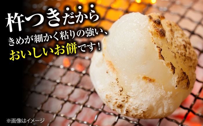 【先行予約】 お餅 ＜12月25日～年内順次発送＞ 杵つき餅 真空パック ひら餅 10個×3 お餅 杵つき 餅 おせち モチ 雑煮 広島 三次市 / 福田農場 [APBM014]