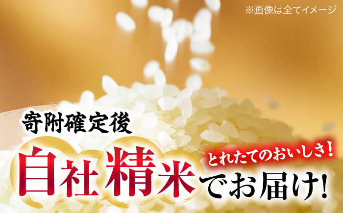 盆地そだちあきろまん 2kg 令和7年産 米 こめ 白米 精米 ご飯 三次市 / 福田農場 [APBM015]