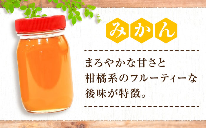 重森養蜂場のはちみつ 大容量2種2本セット（ソヨゴ・みかん） 600g×2種 計2本セット ハニー お取り寄せ グルメ 産地直送 ふるさと納税 ギフト プレゼント スーパーフード パンケーキ ヨーグルト 三次市/ 重森養蜂場 [APBO002]