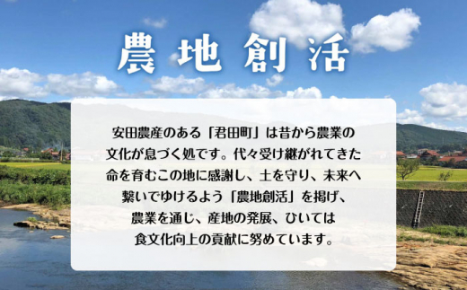 もち麦 ｢麦香｣ 2kg もち麦 国産 小分け ダイエット 腸活 広島県三次産 三次市/安田農産 [APBP002]