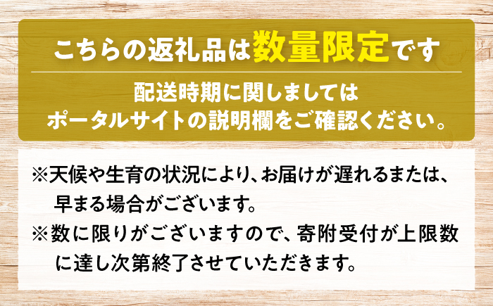 【先行予約】【9月中旬から9月末に順次発送】高丸の梨 「豊水」 3kg（5から8玉入） 豊水 梨 なし フルーツ 果物 ナシ 三次市/高丸農園 [APBU001]