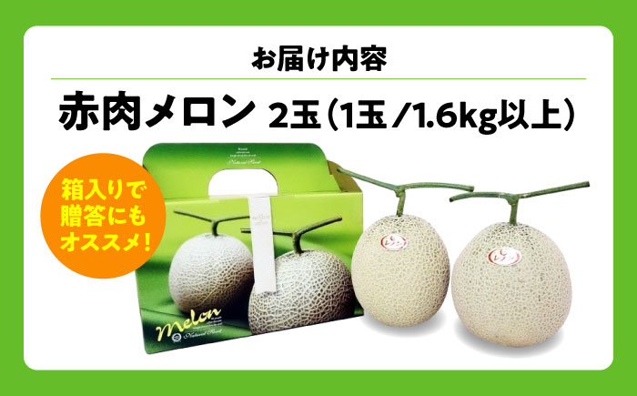 【先行予約】【7月下旬から8月上旬に順次発送】　メロン 2玉 計3kg以上（1玉 約1.6kg以上）赤肉 メロン レノン 糖度16度以上 フルーツ 三次市/なちゅbio [APCA001]