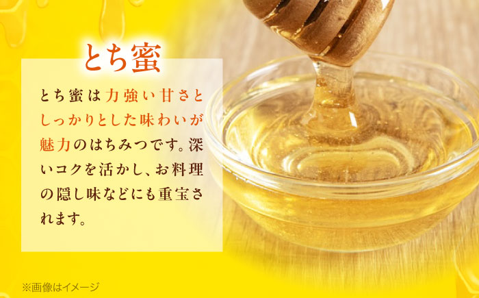 ゆずハニー ～琥珀の奏～ シロップ 200ml×1本　ゆずはちみつ はちみつ ゆず 蜂蜜 柚子 ハチミツ ユズ ゆずハニー 三次市 / Beemonte [APCB005]