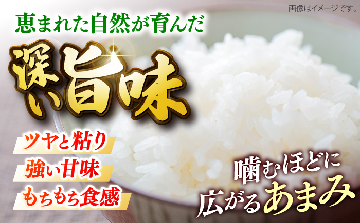 【先行予約】【9月中旬から順次発送】特別栽培米 コシヒカリ 真空パック 白米 （ 無洗米 ） 5kg お米 こしひかり ご飯 コシヒカリ おこめ 三次市/小川モータース [APCH001]