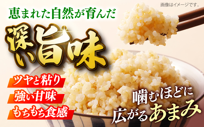 【先行予約】【9月中旬から順次発送】特別栽培米 コシヒカリ 真空パック 玄米 15kg （ 5kg × 3袋 ） お米 こしひかり ご飯 コシヒカリ おこめ 三次市/小川モータース [APCH006]