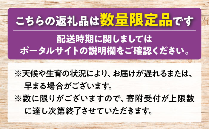 【2026年先行予約】＜9月中旬から順次発送＞【訳あり】ピオーネ&シャインマスカット 2種セット 計約1kg（各約500g×1パック）露地栽培 ぶどう ピオーネ マスカット 三次市/西田ぶどう園 [APCM008]