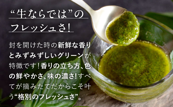 【先行予約】【2026年6月中旬頃から順次発送】 バジルペースト ２個セット ＜数量限定100セット＞ 摘みたて バジル フレッシュ 生ペースト 三次市 / Atelier＋BOTANICAL [APCX001]