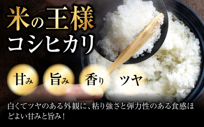 【令和7年産米】こしひかり 5kg【スピード発送】米 白米 お米 ご飯 コシヒカリ 三次市/アグリ君田 [APDC001]