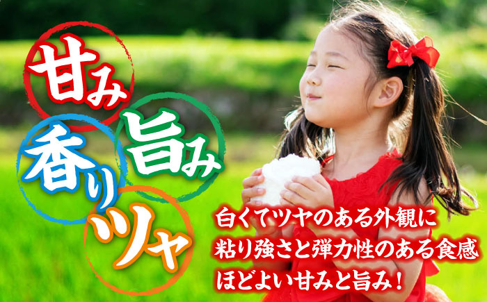 【全2回定期便】 【令和7年産米】 米 こしひかり 10kg 白米 お米 ご飯 コシヒカリ 三次市/アグリ君田 [APDC006]