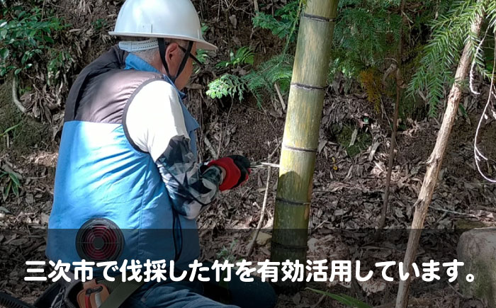ポーラス竹炭 20L （畑・園芸用）ガーデニング 家庭菜園 土壌改良 観葉植物 国産 三次市 / おすぎん家 [APDE001]